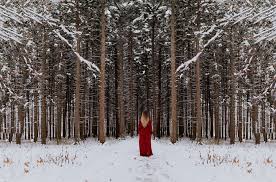 無料写真] 雪と森の木々と女性の後ろ姿 - パブリックドメインQ：著作権フリー画像素材集