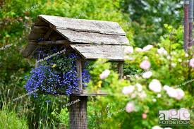Flowers In The Bird House