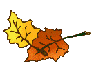 Znalezione obrazy dla zapytania autumn leaf gif