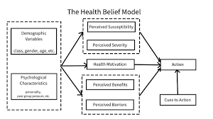 Health Belief Model Wikipedia