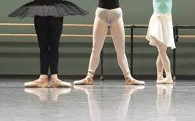 Ballet Arizona gambar png