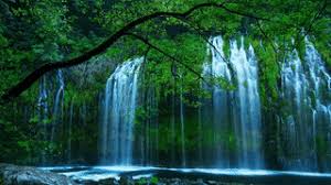 From tranquil forest springs to majestic cascading waterfalls animations. Gif Wallpaper Of Nature Nice