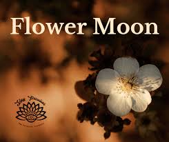 flower moon the astonishing full moon
