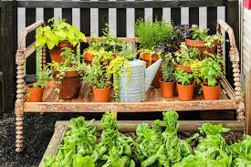 Herb Container Garden Decor