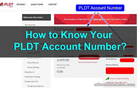 how to know your pldt account number