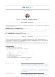 Executive Vice President Resume Samples And Templates