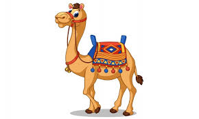 Are you searching for camel riding png images or vector? Premium Vector Beautiful Camel Cartoon Vector Illustration