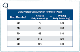 protein for muscle gain how much when