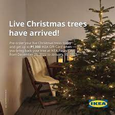 ikea live christmas tree