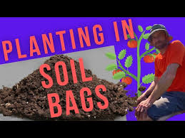 Potting Soil Bags Planting Tomatoes