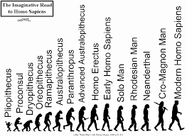 Human Evolution Timeline Human Evolution Human Evolution