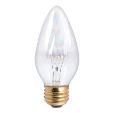 Light Incandescent Light Bulb 25 Pack