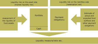Liquidity risk is a type of market risk. Bafin Expert Articles Investment Funds Dealing With Liquidity Risks