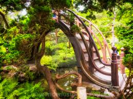 anese tea garden golden gate park