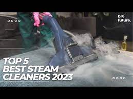 best steam cleaners 2023 deep clean