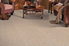 pattern loop carpet