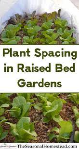 Plant Spacing In Raised Beds The