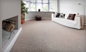 carpet or upholstery cleaning