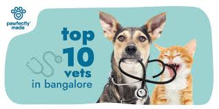 bangalore pet hospitals 10 best