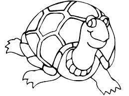 More short stories for kids miscellaneous coloring pages. Tortoise Coloring Pages Best Coloring Pages For Kids