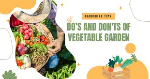Do S And Don Ts Of Vegetable Garden