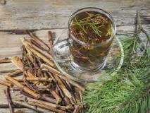 What does pine needle tea do to your body?