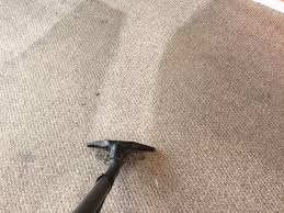 tim moore quality care carpet