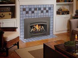 Gas Fireplace Inserts Fireplace