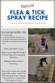 is natural flea and tick repellent for