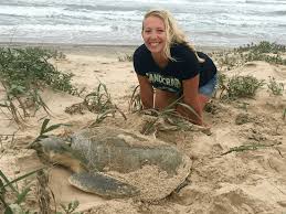 A Turtley Awesome Job Career Insight From Sea Turtle Inc S