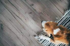how to treat sulooring for pet odor