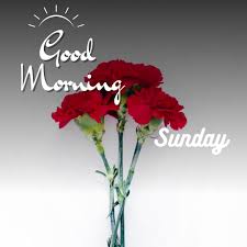 ᐅ121 good morning sunday images hd