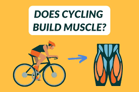 does cycling build muscle the truth