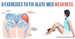 9 powerful gluteus us exercises for