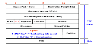 modified tcp packet header format