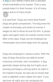 dog man s best friend short essay speech paragraph in jpg
