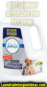 how to get dog urine smell out of