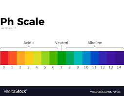 The Ph Scale