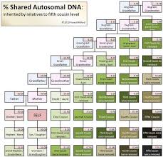 Blaine Bettinger Dna Relationship Charts Google Search
