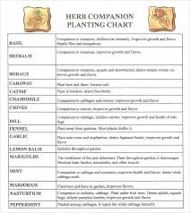 Free 9 Sample Companion Planting Charts In Pdf Word