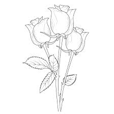 rose flower drawing is easy for kids
