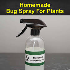bug spray recipes for plants