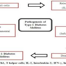 A Schematic Diagram For Pathogenesis Of Type 1 Diabetes