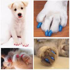 2019 Colorful Cats Dogs Kitten Paws Grooming Nail Claw Cap Adhesive Glue Soft Rubber Pet Nail Cover Paws Caps Pet Supplies From Qwonly_shop 0 87