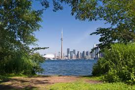 20 best things to do in toronto