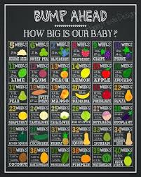 Described Pregnancy Baby Size Guide Baby Size Compared To