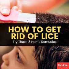 get rid of lice