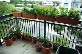 Beautify Your Balcony With Plants