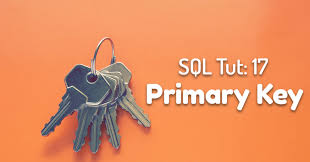 primary key constraint in oracle