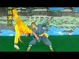 shaolin kung fu 38 fight techniques